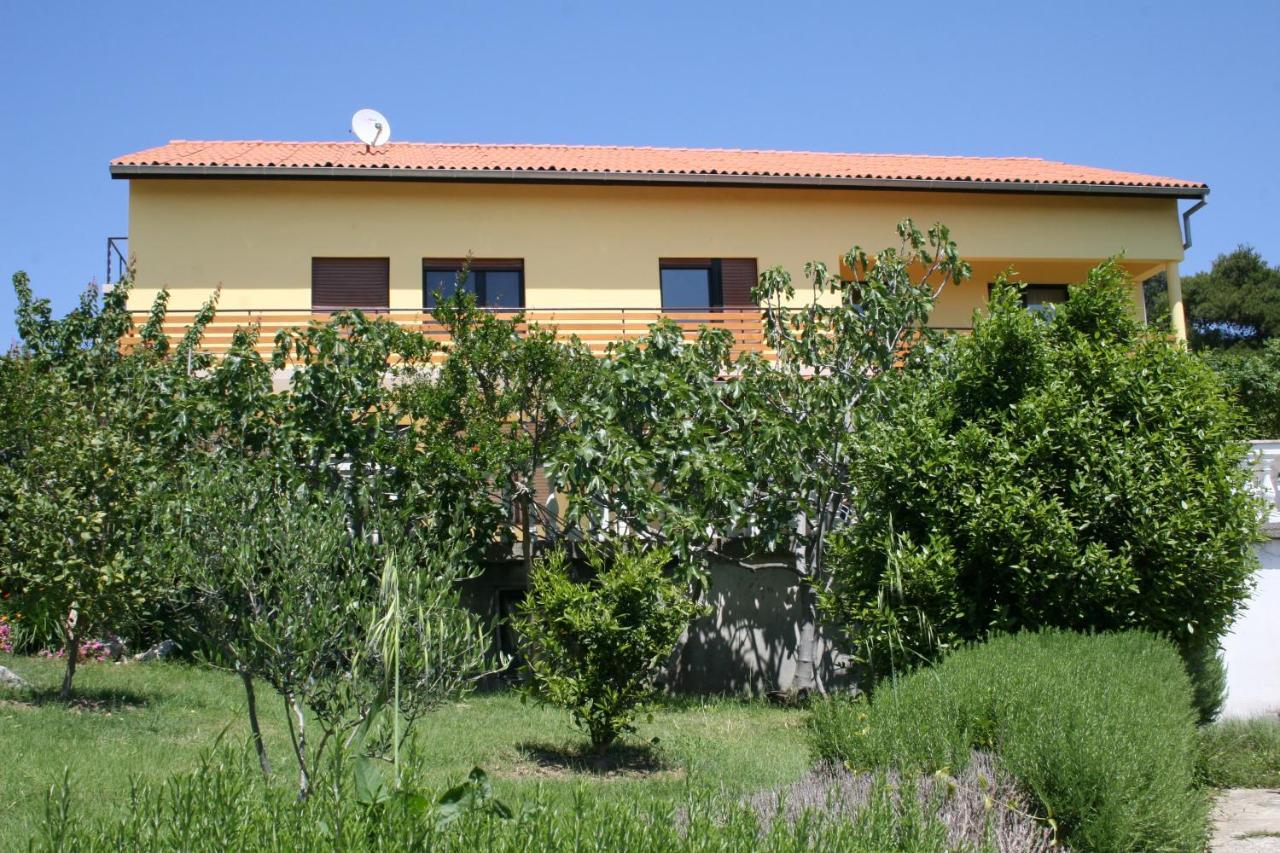 Apartments Suha Punta - Villa Babalonija Kampor Szoba fotó